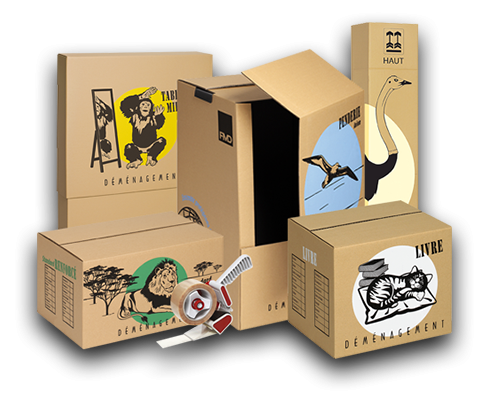 Nicodem, spécialiste du déménagement à Annecy en Haute-Savoie